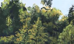 Featured image of post 作品集